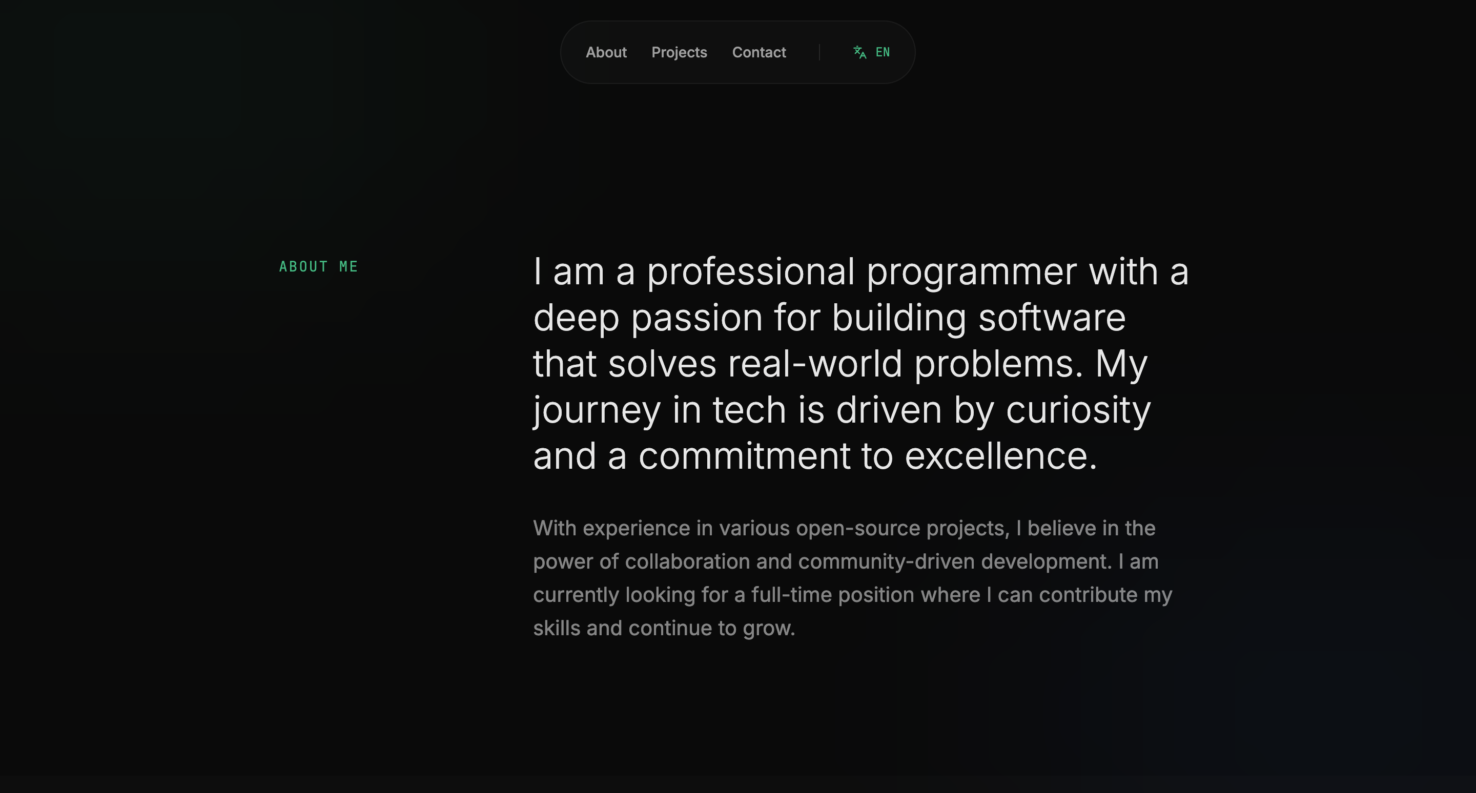 Aris Setiawan detail view